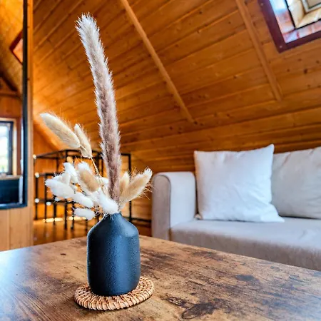 Cosmic Living Hideaway Cozy Attic With Parking & Wi-fi Zwickau